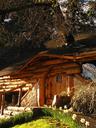 Very cute little log cabin style restaurant by the park in Bariloche with trees growing right through it!